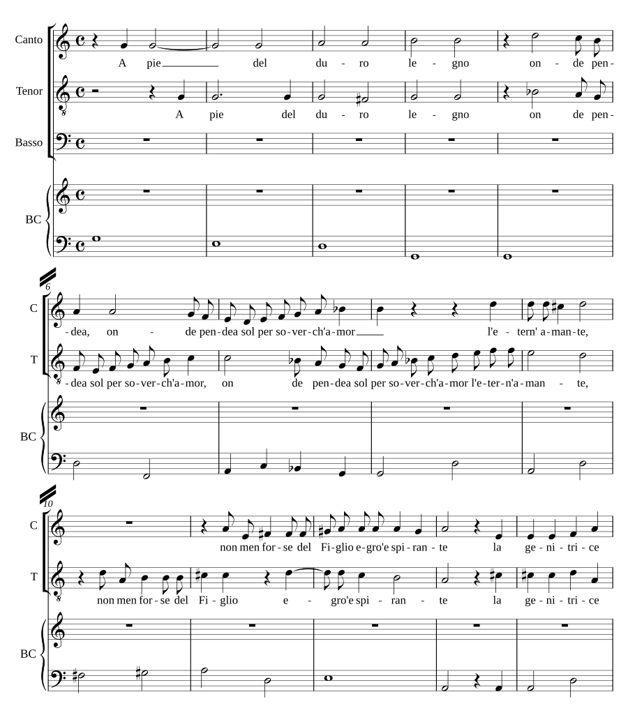 У подножия твердого дерева (A pie del duro legno)