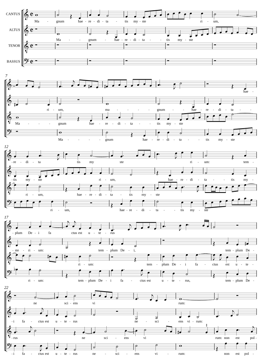 Великое наследство (Magnum haereditatis)