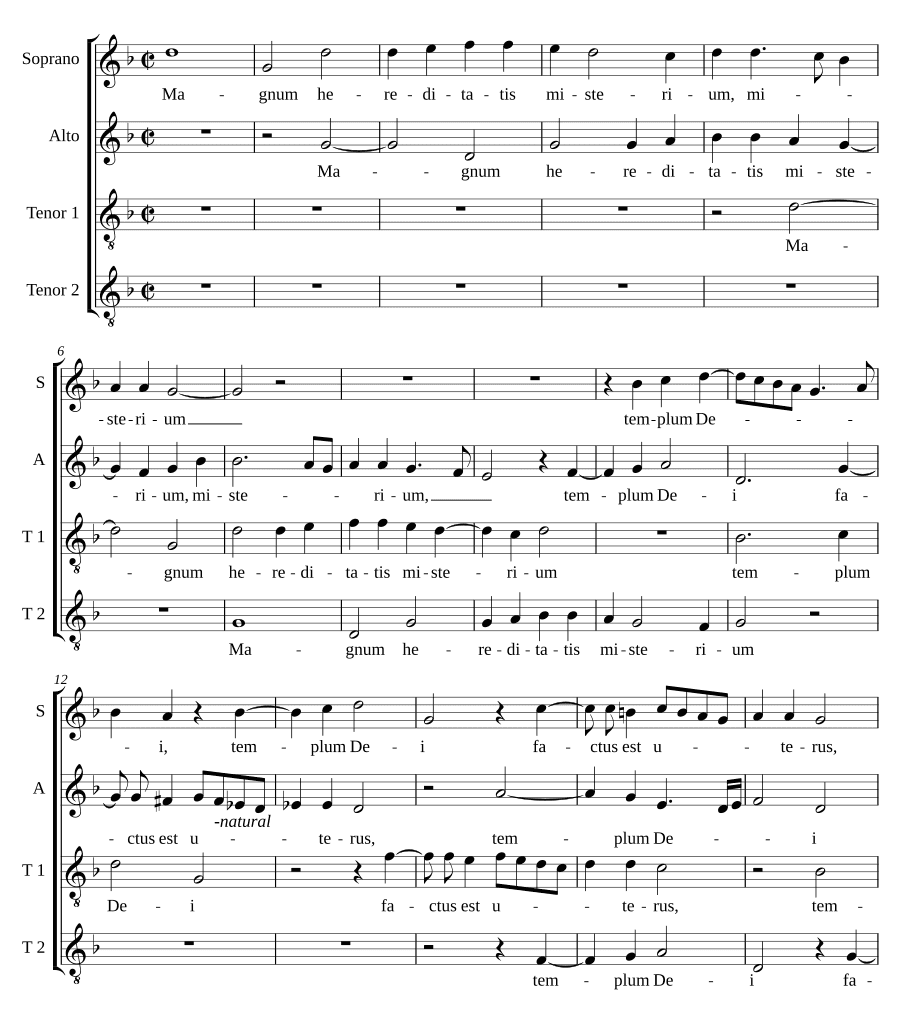 Великое наследство (Magnum hereditatis)