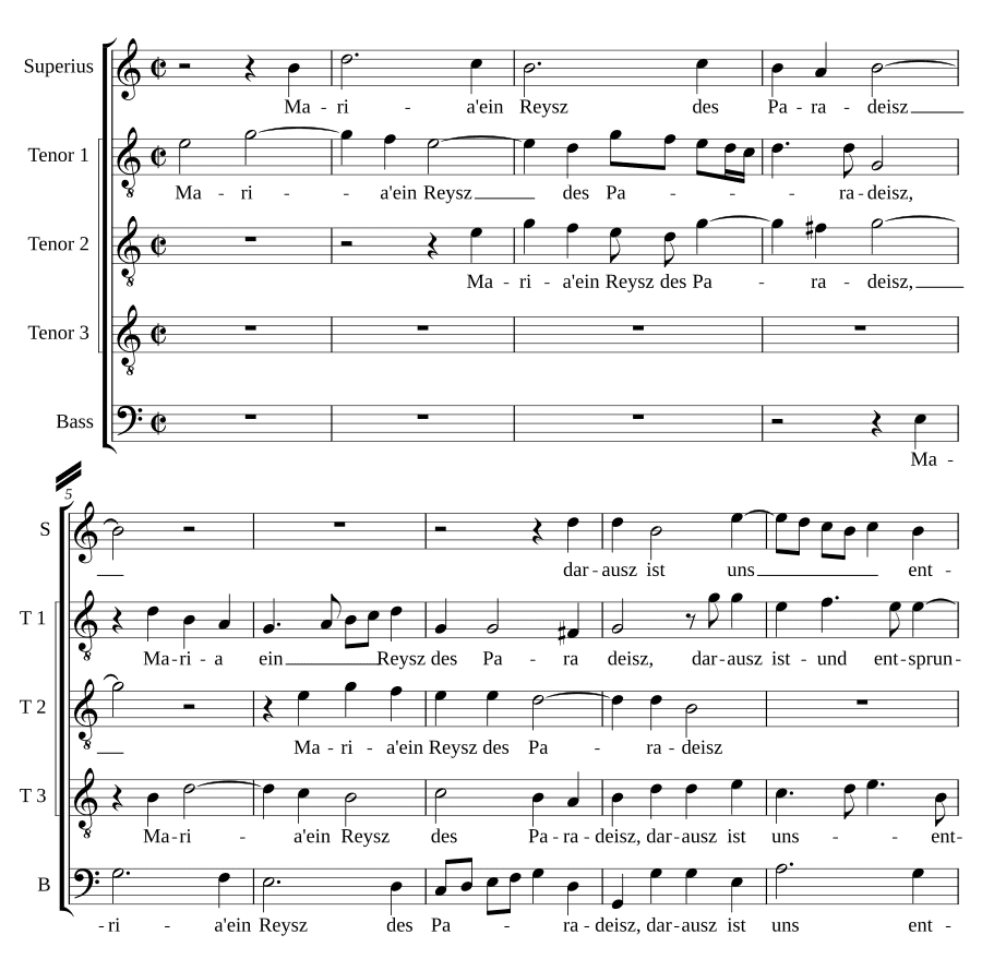 Мария, странница (Maria ein reisz)
