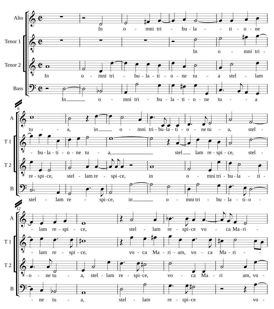Во всякой скорби (In omni tribulatione). Томас Сэйлли