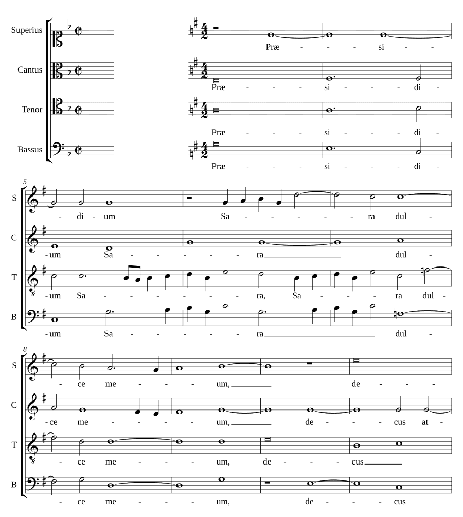 Защита Сары (Præsidium Sara)
