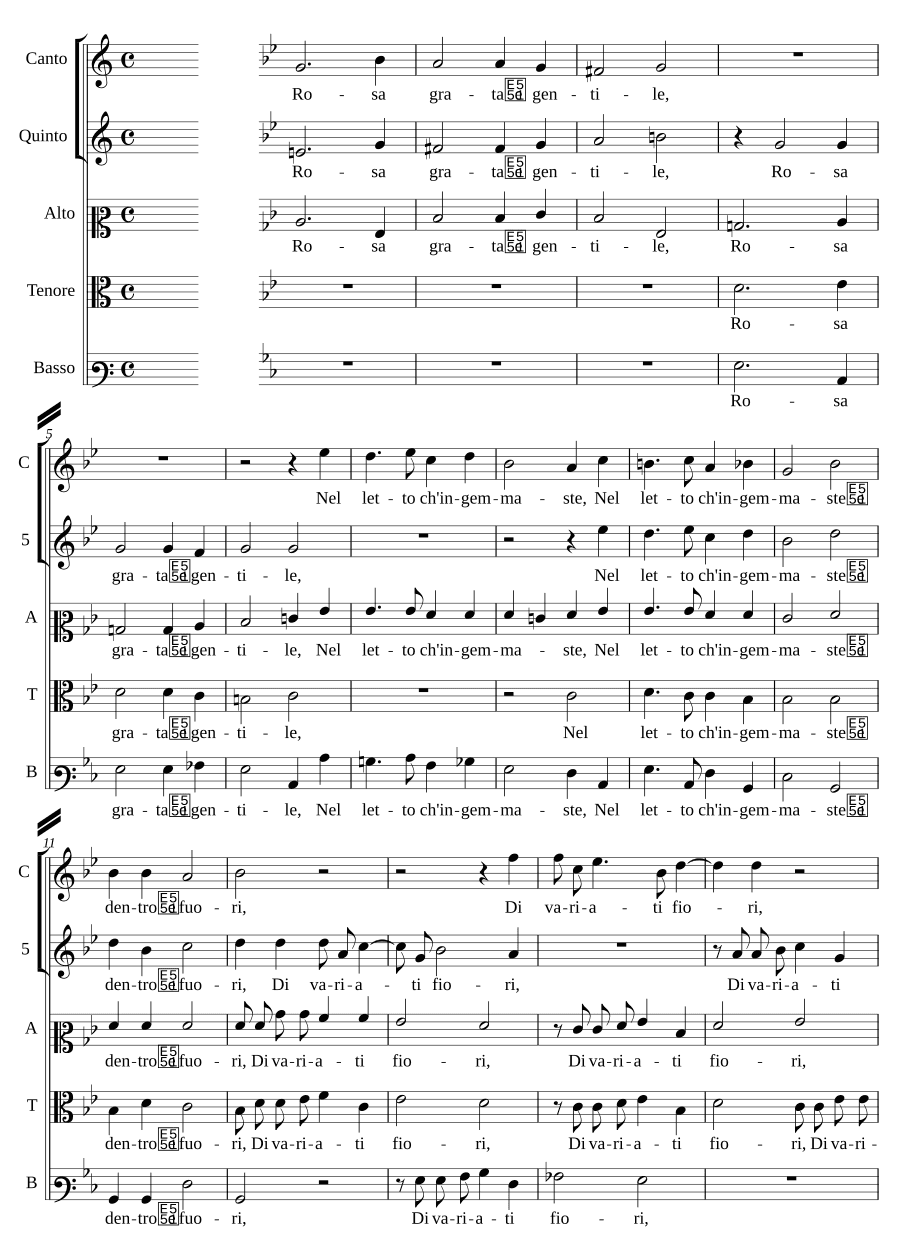 Роза милая и нежная (Rosa grata e gentile)