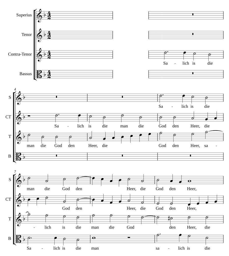 Солен человек (Salich is de man)
