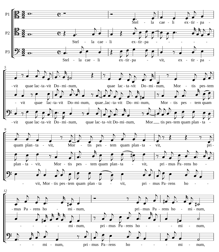 Звезда неба (Stella caeli)