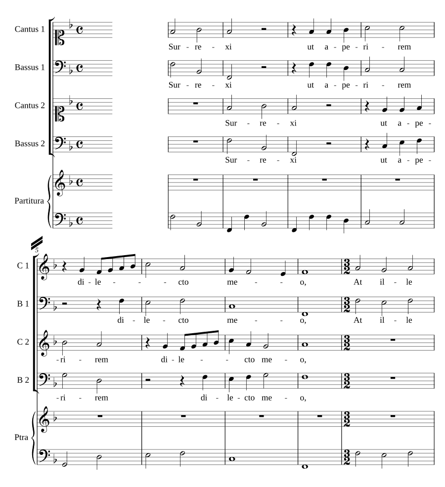 Воскрес я, чтобы открыть (Surrexi ut aperirem)