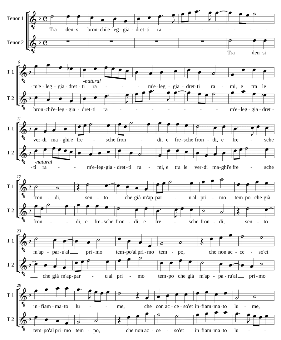 Среди густых ветвей (Tra densi bronchi)