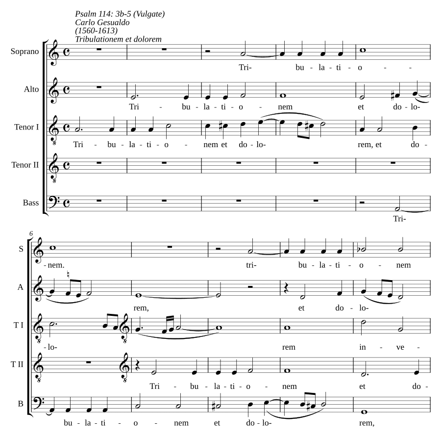 Страдания и скорби (Tribulationem et dolorem)
