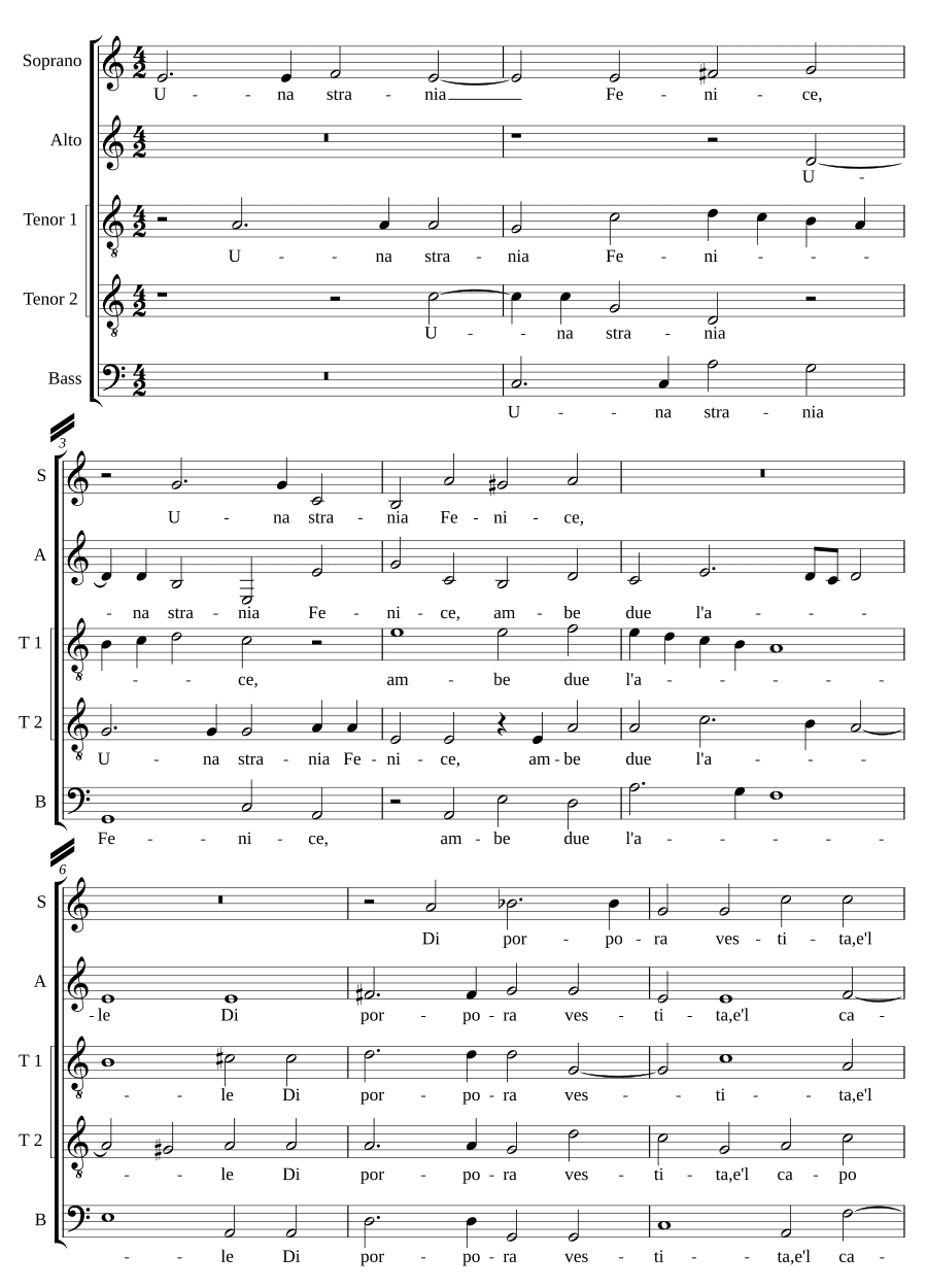 Странный феникс (Una strania fenice)