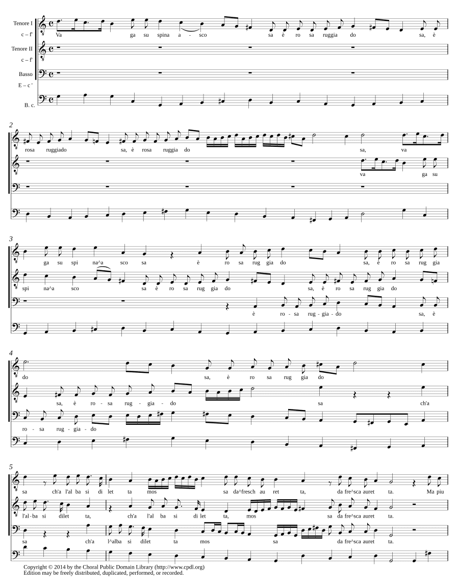 Прекрасная на колючке спрятанная (Vaga su spina ascosa)