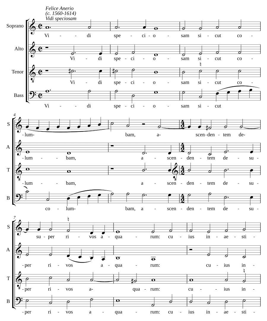 Видел прекрасную (Vidi speciosam)