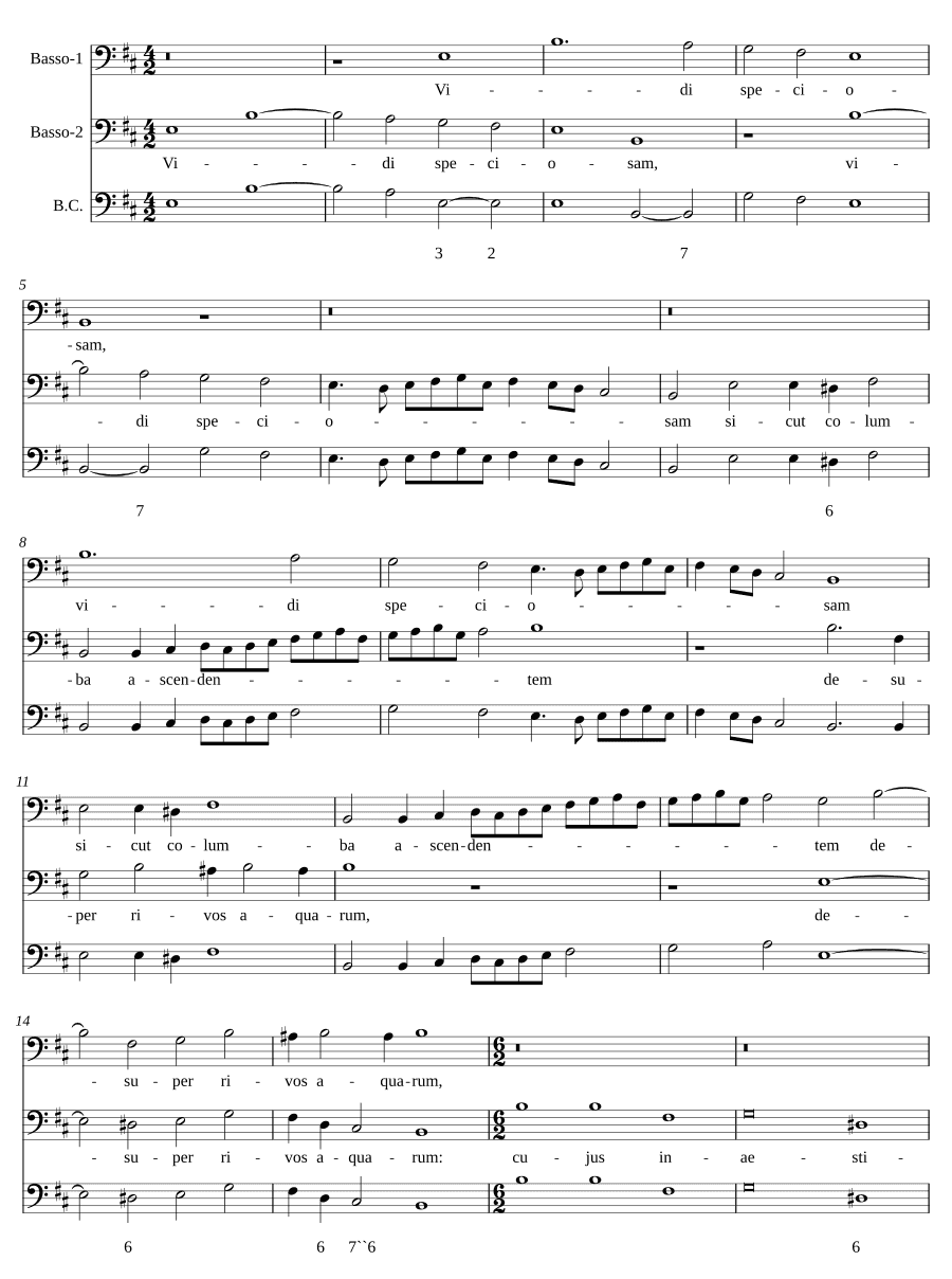 Видел я прекрасную (Vidi speciosam)