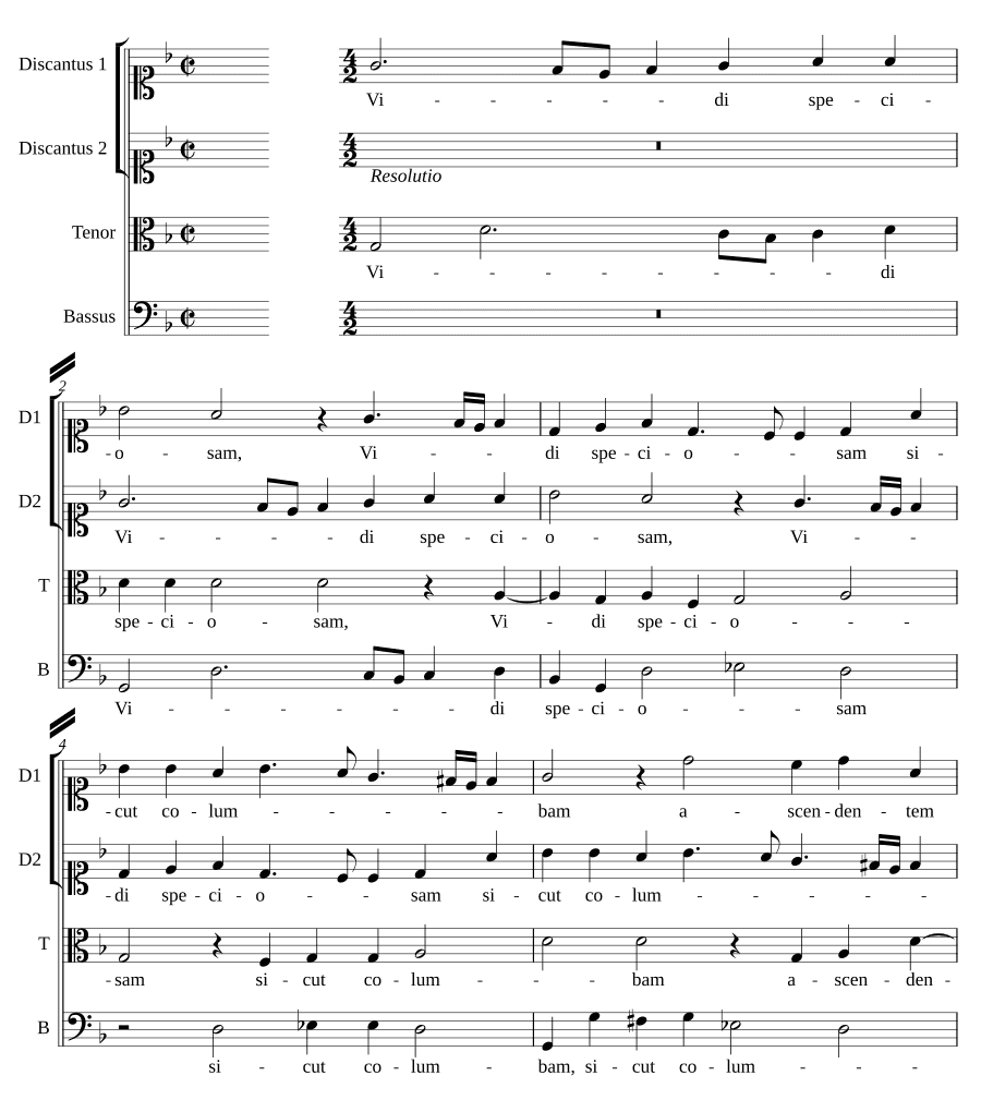 Видел прекрасную (Vidi speciosam)