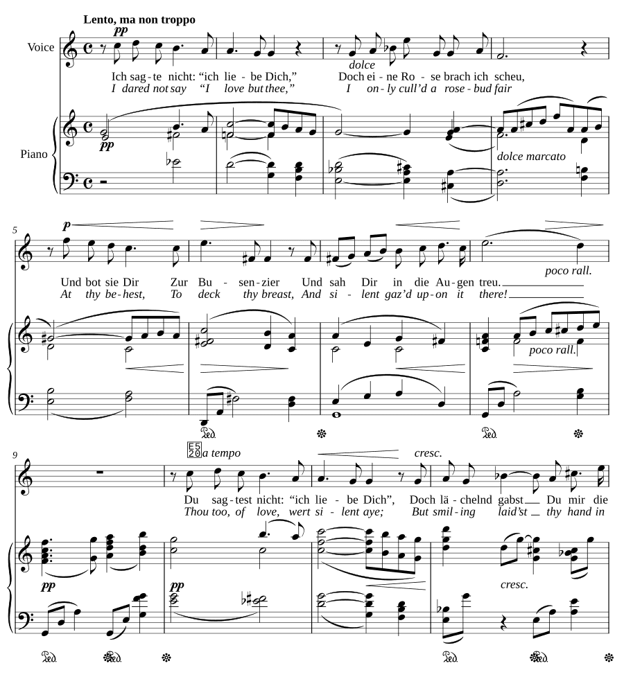 Я не сказала (Ich sagte nicht). 4 песни, соч. 51