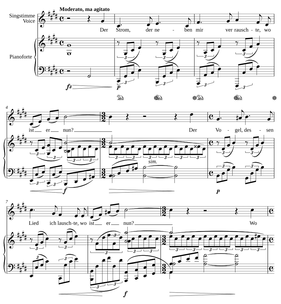 Поток, что мимо меня шумел (Der Strom, der neben mir verrauschte). 9 песен и напевов, соч. 32