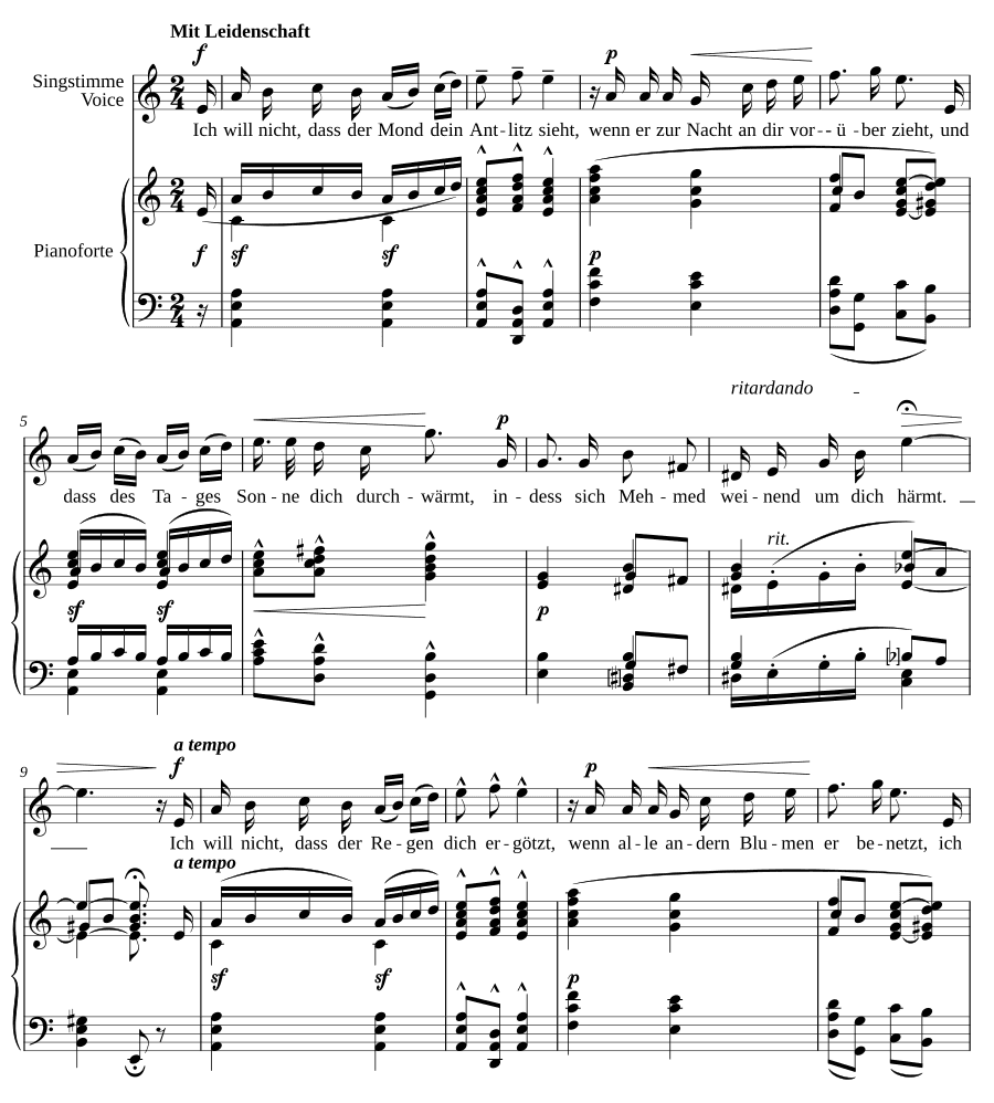 Песня из Боснии (Lied aus Bosnien). 5 песен, соч. 4