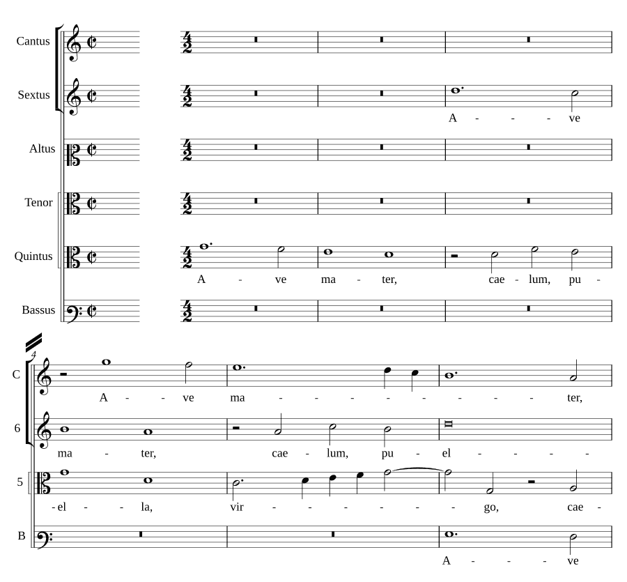 Радуйся, матерь, небо, дева (Ave mater, caelum, puella)