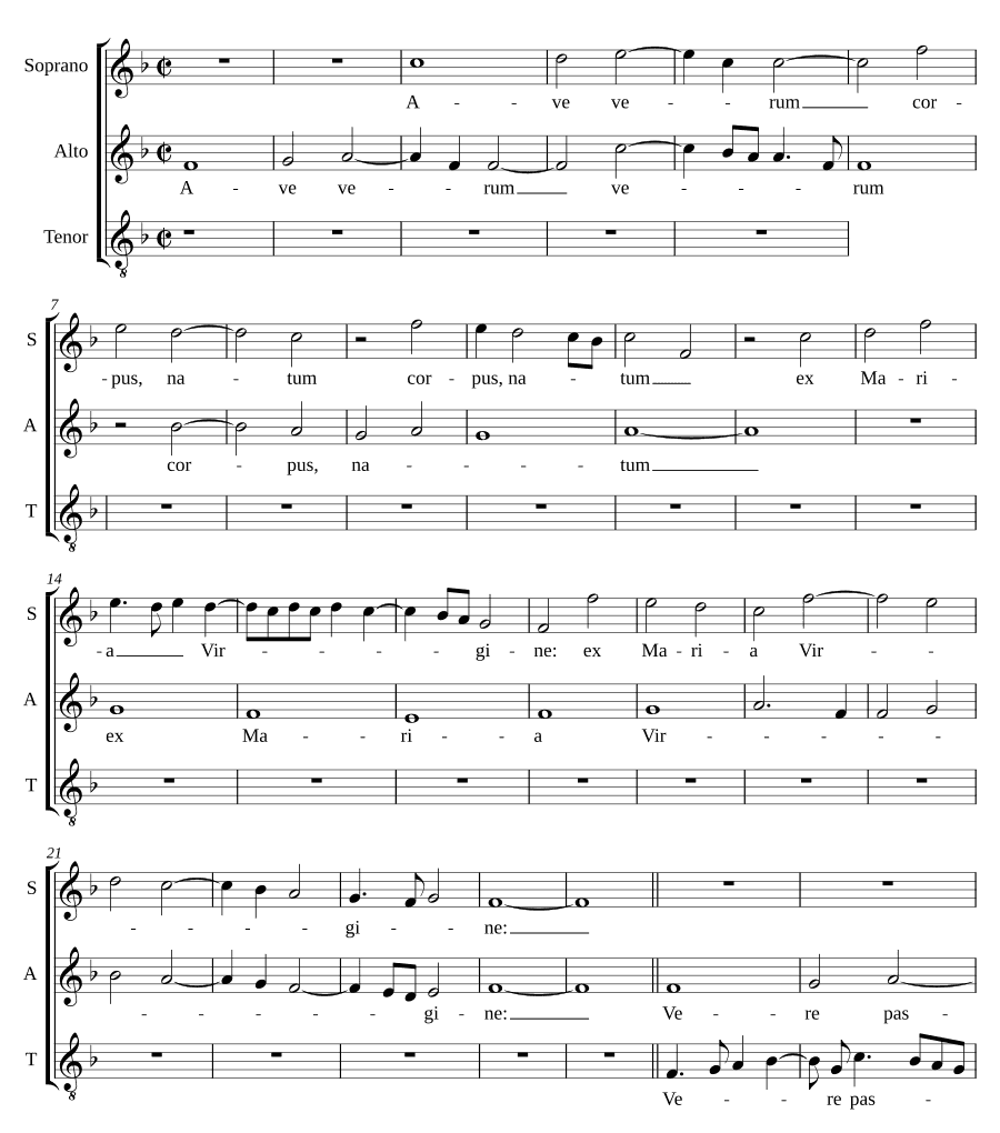 Ave verum a 3