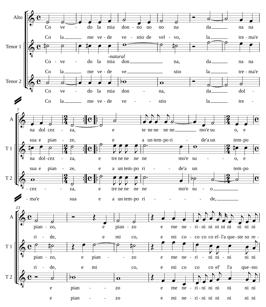 Как видит моя дама (Co vede la mia donna)