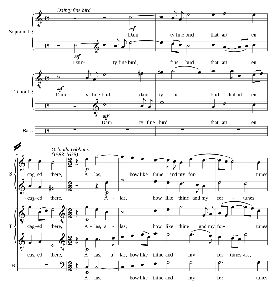 Изящная прекрасная птица (Dainty fine bird)