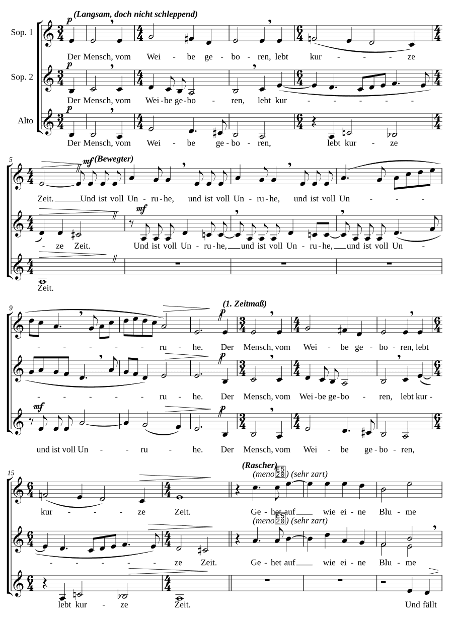 Человек, рожденный от женщины, живет недолго (Der Mensch, vom Weibe geboren, lebt kurze Zeit)