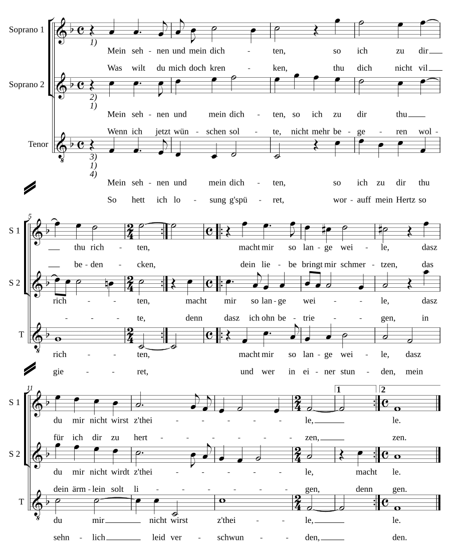 Моё стремление и мои размышления (Mein Sehnen und mein Dichten). Для вокала