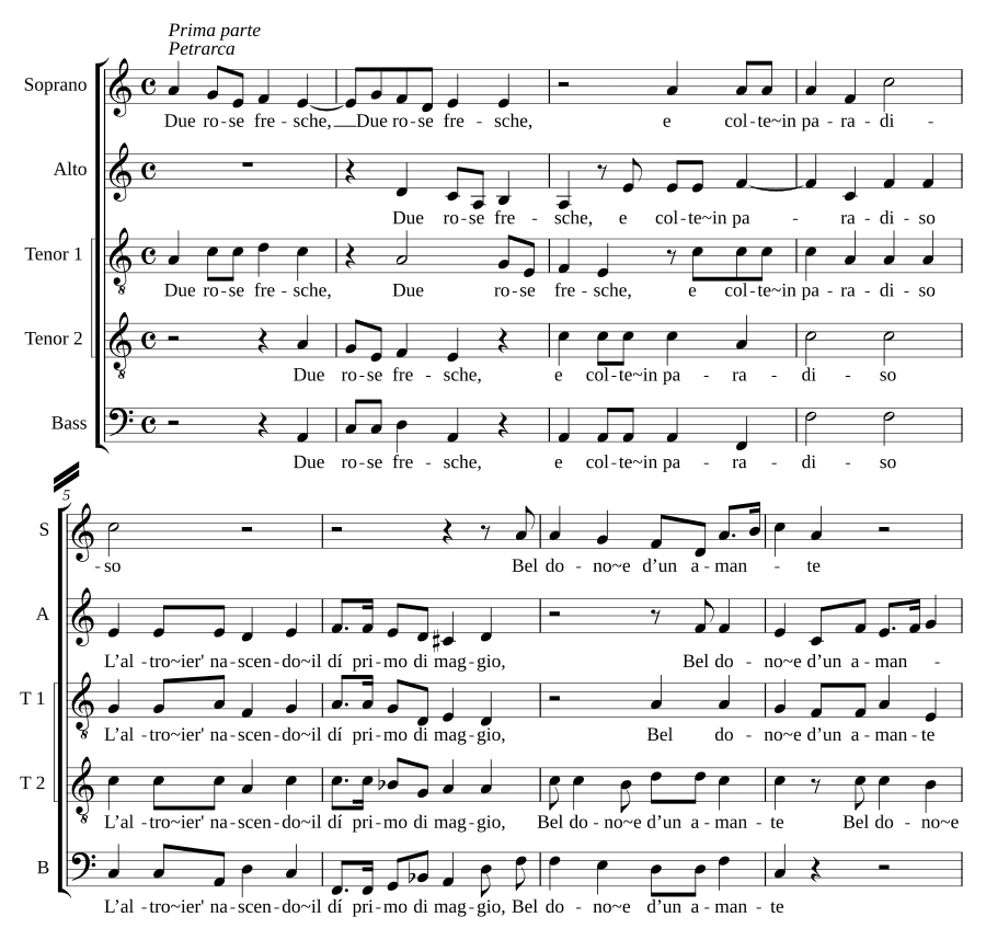 Две свежие розы (Due rose fresche)