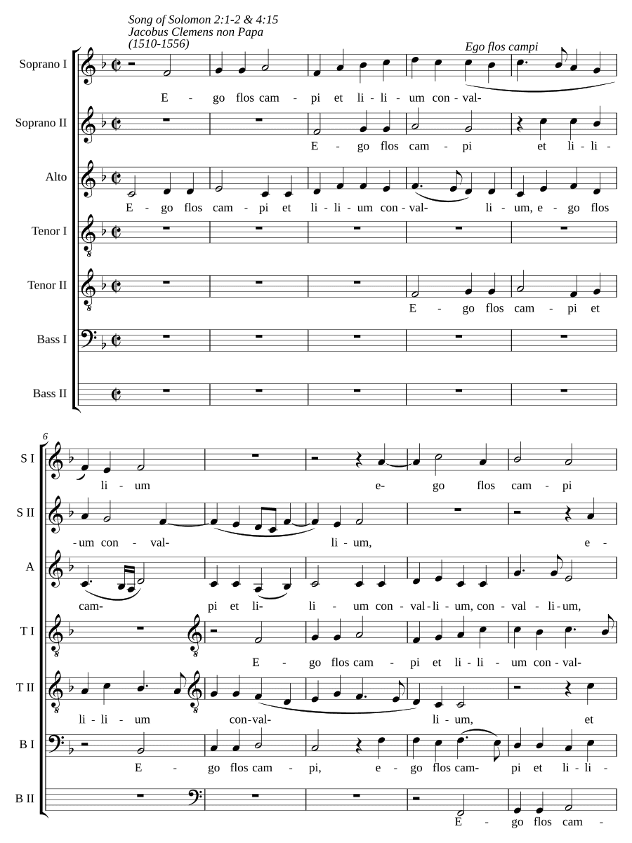 Я — цветок поля, a 7 (Ego flos campi a 7)