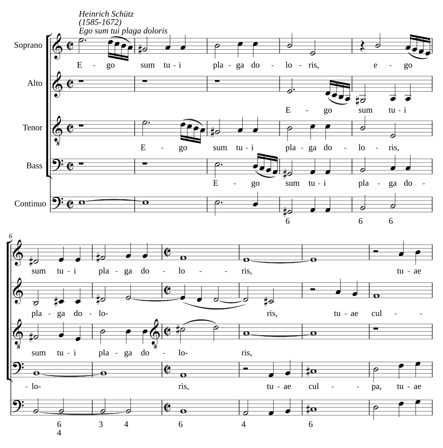 Я — рана твоя, боль, SWV 57 (Ego sum tui plaga doloris, SWV 57)