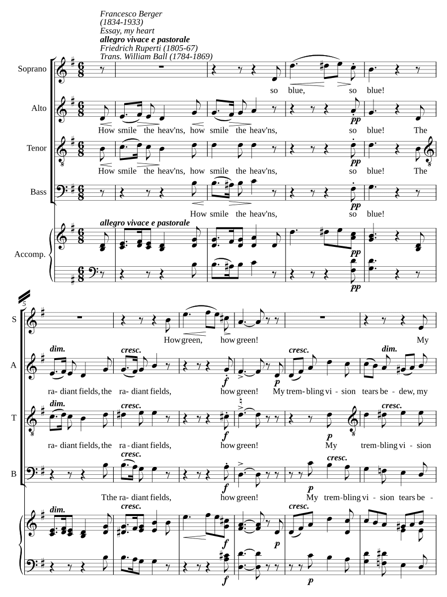 Попытайся, мое сердце (Essay, my heart)