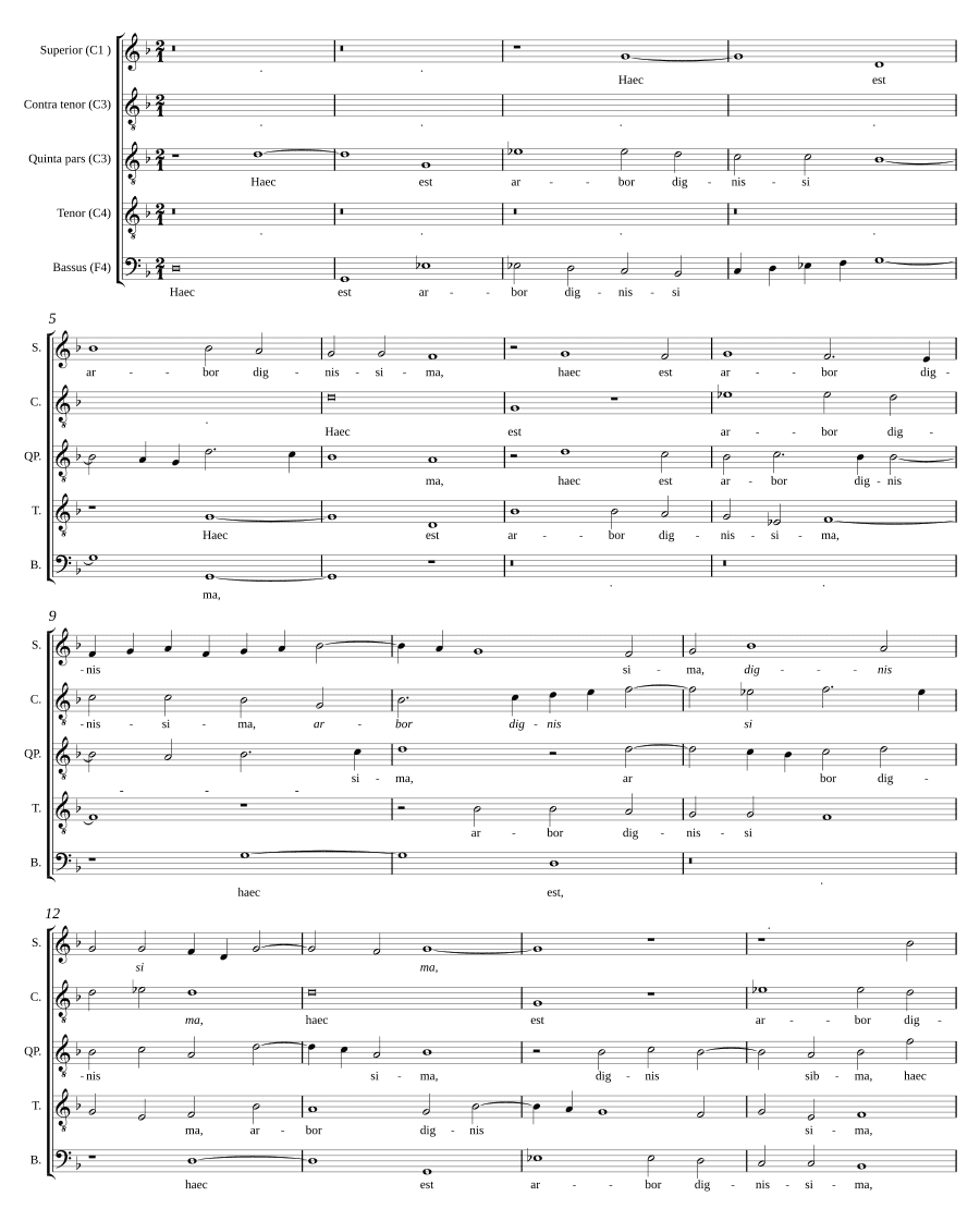 Это дерево достойнейшее (Haec est arbor dignissima)