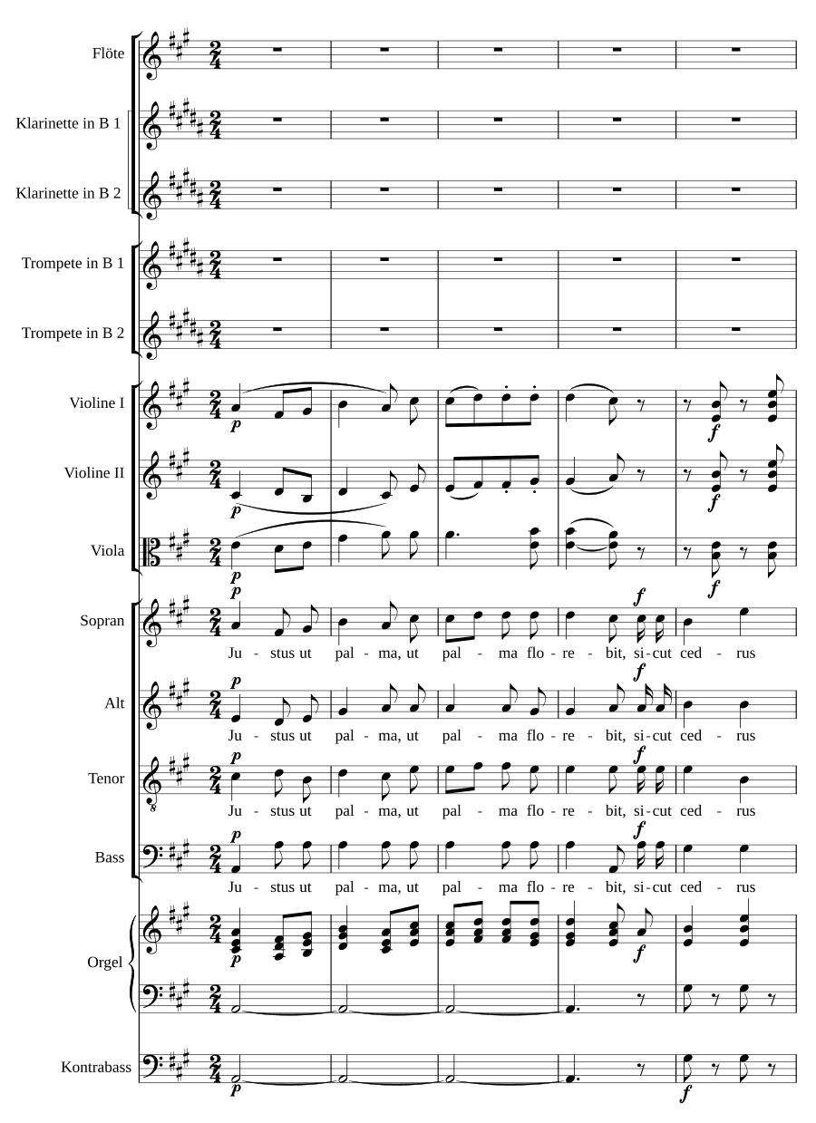 Праведный, как пальма (Justus ut palma)