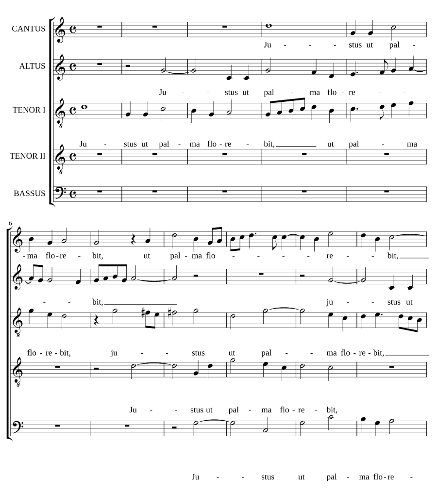 Праведник, как пальма II (Justus ut palma II)