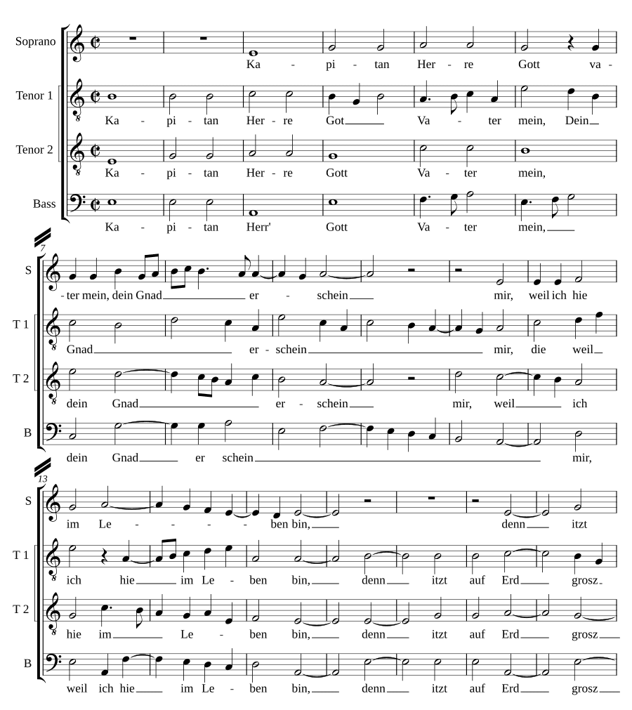 Капитан господь бог (Kapitan Herre Gott)