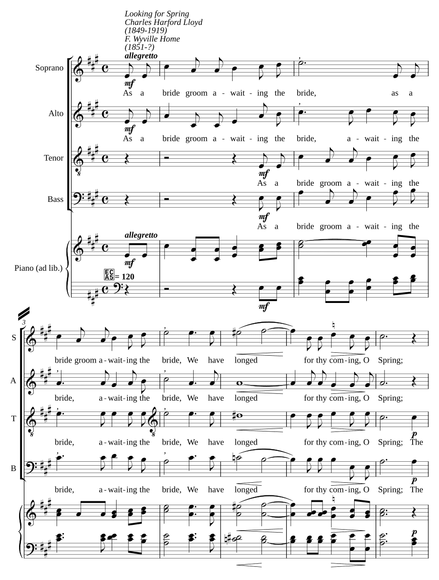 В поисках весны (Looking for Spring)