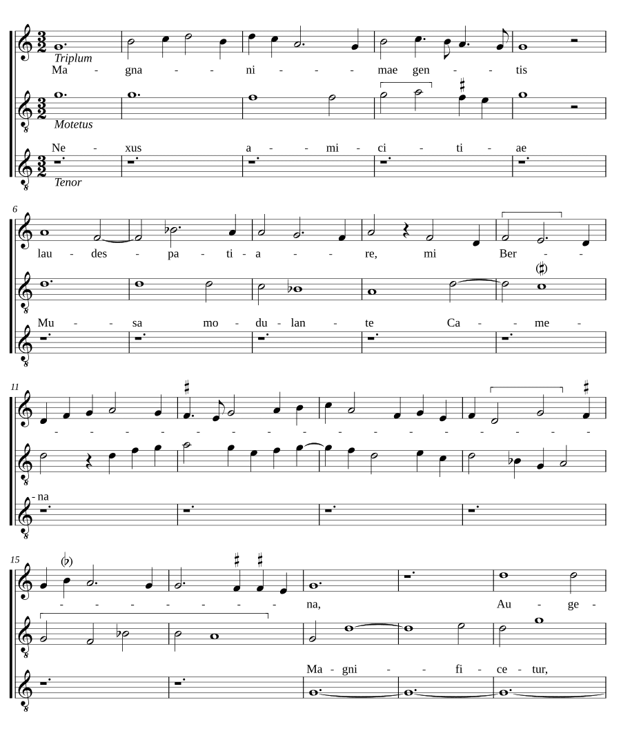 Хвали великодушный род, мой Берна — Муза, воспевающая дружбу (Magnanimae gentis laudes patiare, mi Berna - Nexus amicie Musa modulante Camena)