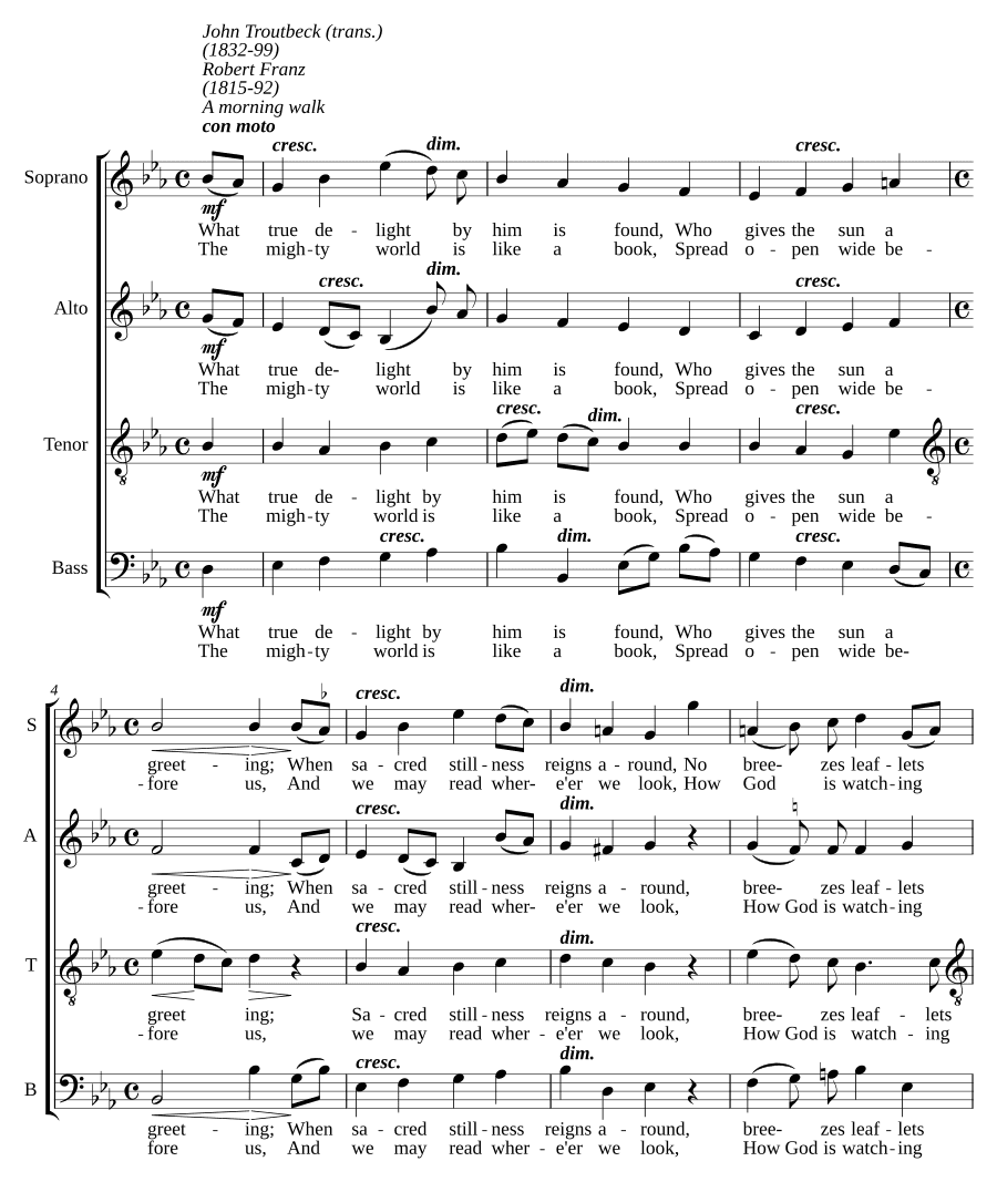Утренняя прогулка (Morgenwanderung)