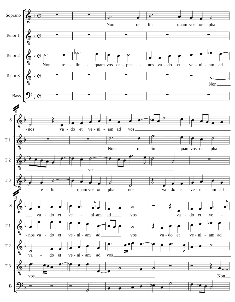 Не оставлю вас сиротами (Non relinquam vos orphanos)