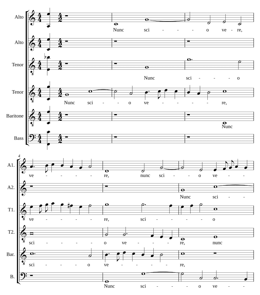 Теперь я истинно знаю (Nunc scio vere)
