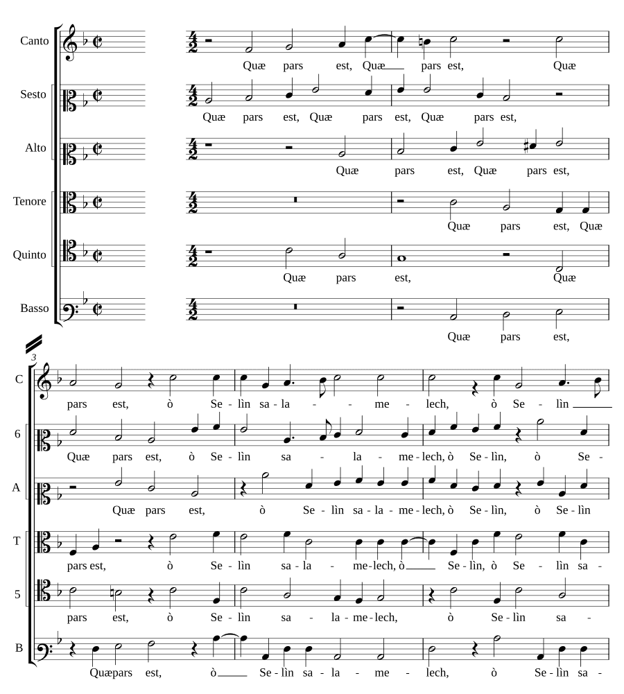 Какая часть, о Селин Салемалех (Quae pars est o Selin salamelech)