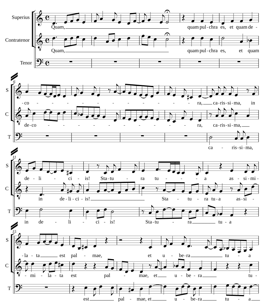 Как прекрасна ты (Quam pulchra es)