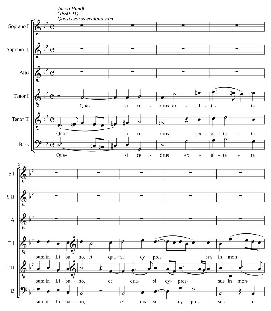 Как кедр вознесся я (Quasi cedrus exaltata sum)