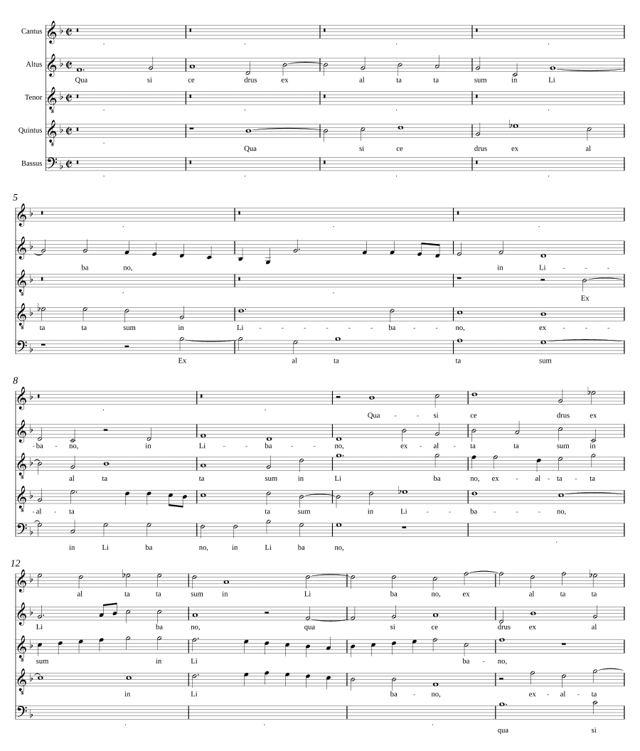 Как кедр вознеслась я (Quasi cedrus exaltata sum)