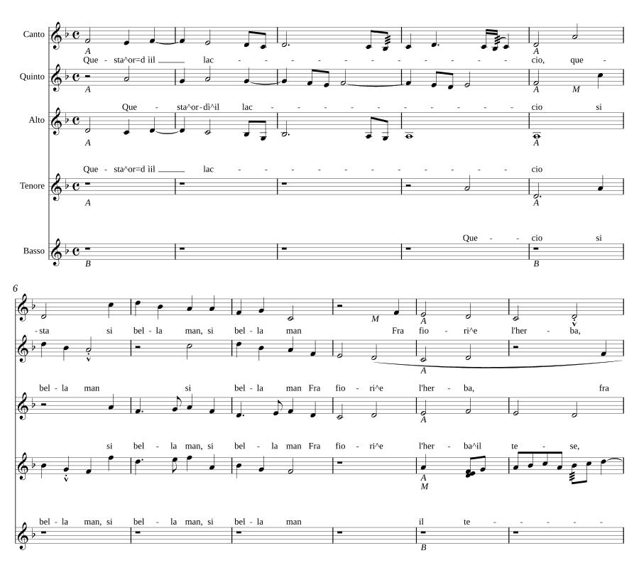 Теперь узел завязан (Questa ordi il laccio)