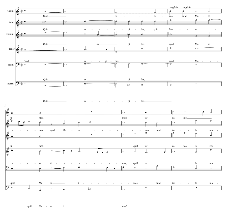 Зачем ты тревожишься (Quid trepidas)