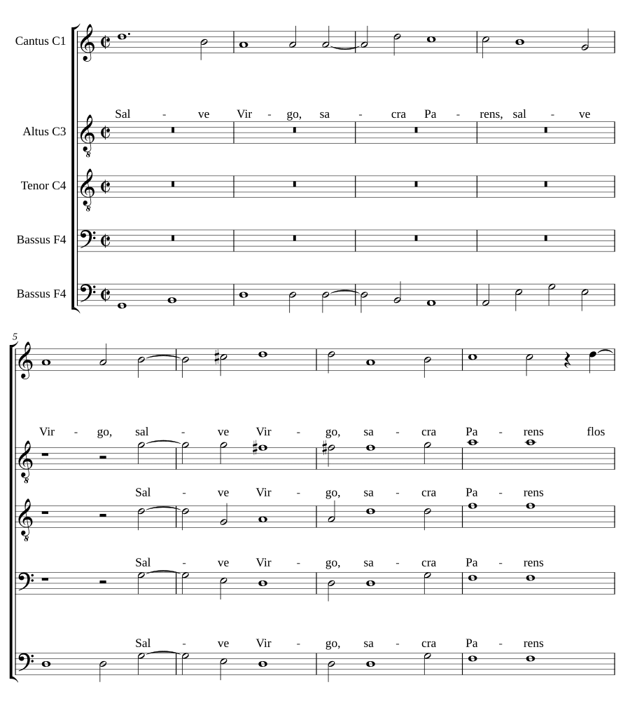 Приветствую, Дева (Salve Virgo)