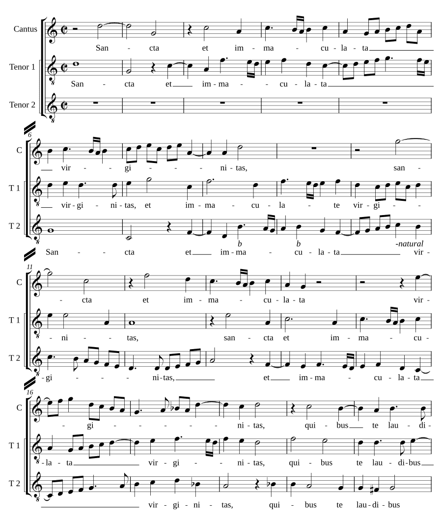 Святая и непорочная (Sancta et immaculata)