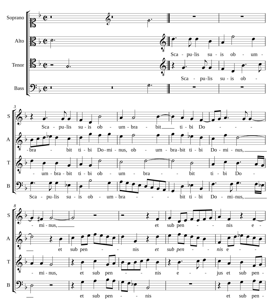 На своих плечах (Scapulis suis)