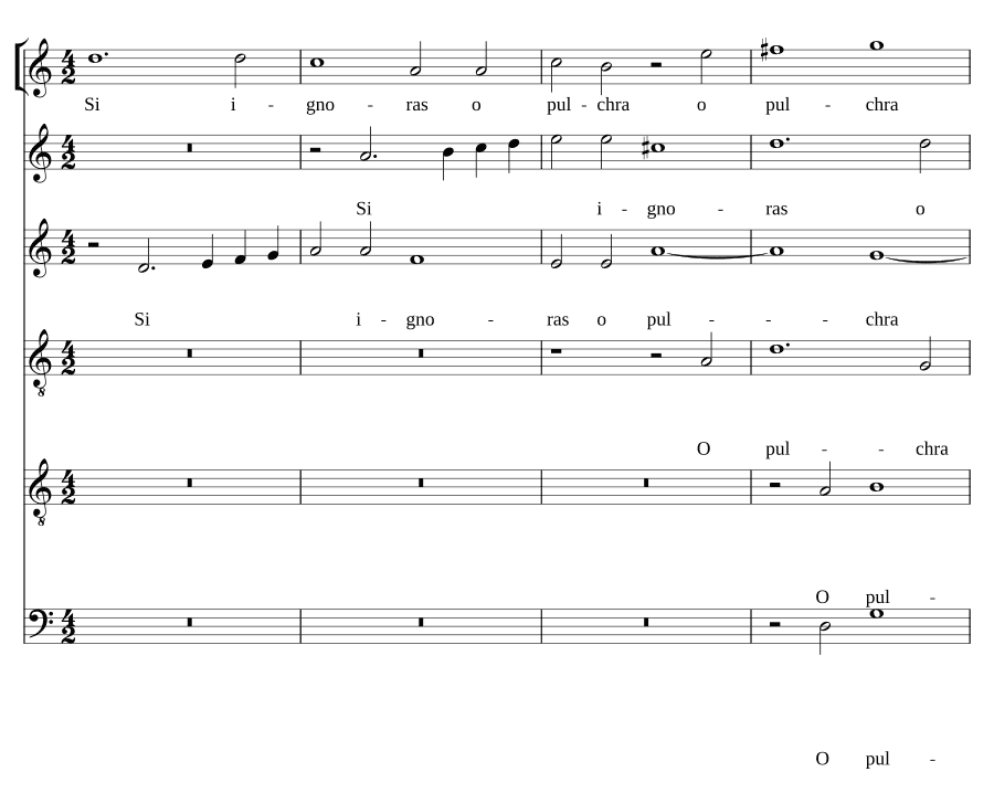 Если ты не знаешь, о прекрасная, на 6 голосов (Si ignoras o pulchra a 6)