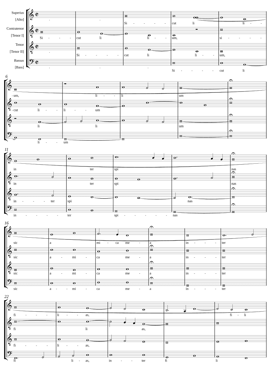 Как лилия среди терний (Sicut lilium inter spinas)